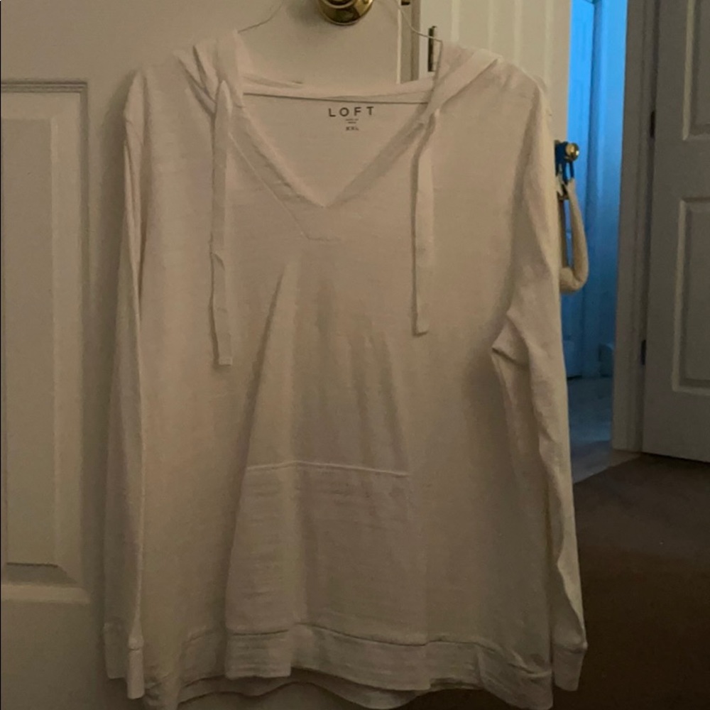 Loft cotton hoodie NWT!